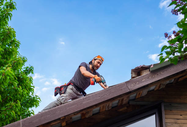 Best Solar Panel Roofing Installation  in Mount Vista, WA