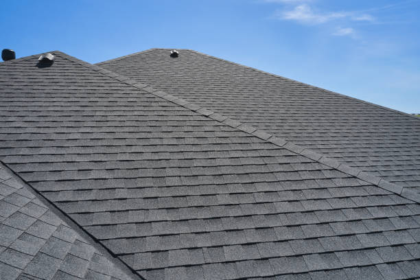 Best Skylight Installation and Repair  in Mount Vista, WA
